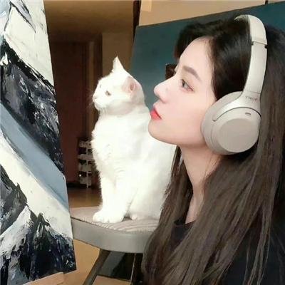 闪光的乐队
